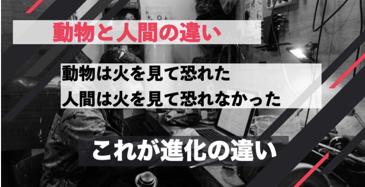 セミナーNo9：LowSowアイテム